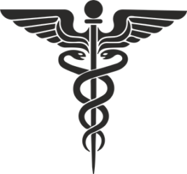 ENGL:202 Writing About Medicine